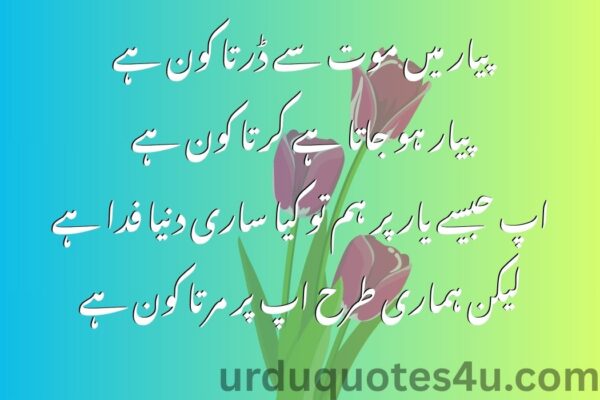 25 Urdu Pyaar Quotes | Urdu Quotes