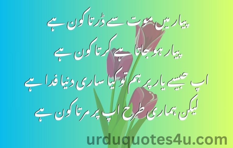 25 Urdu Pyaar Quotes | Urdu Quotes
