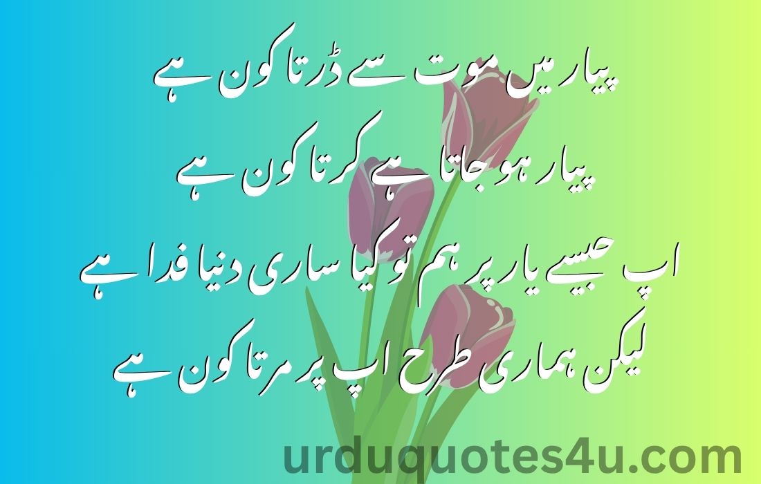 25 Urdu Pyaar Quotes | Urdu Quotes