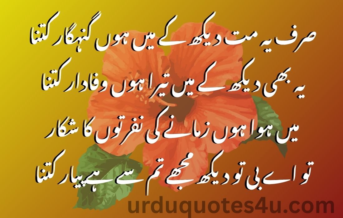 25 Urdu Pyaar Quotes | Urdu Quotes