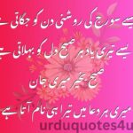 Good Morning Quotes I Urdu Quotes