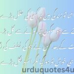 Life Quotes Urdu | Urdu Quotes