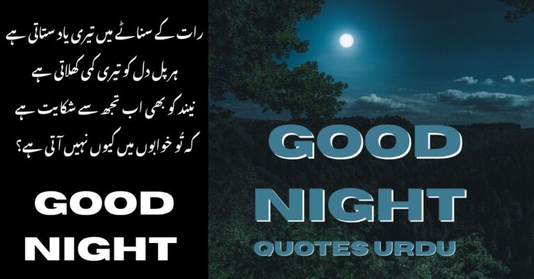 Good Night Quotes In Urdu | Urdu Shayari