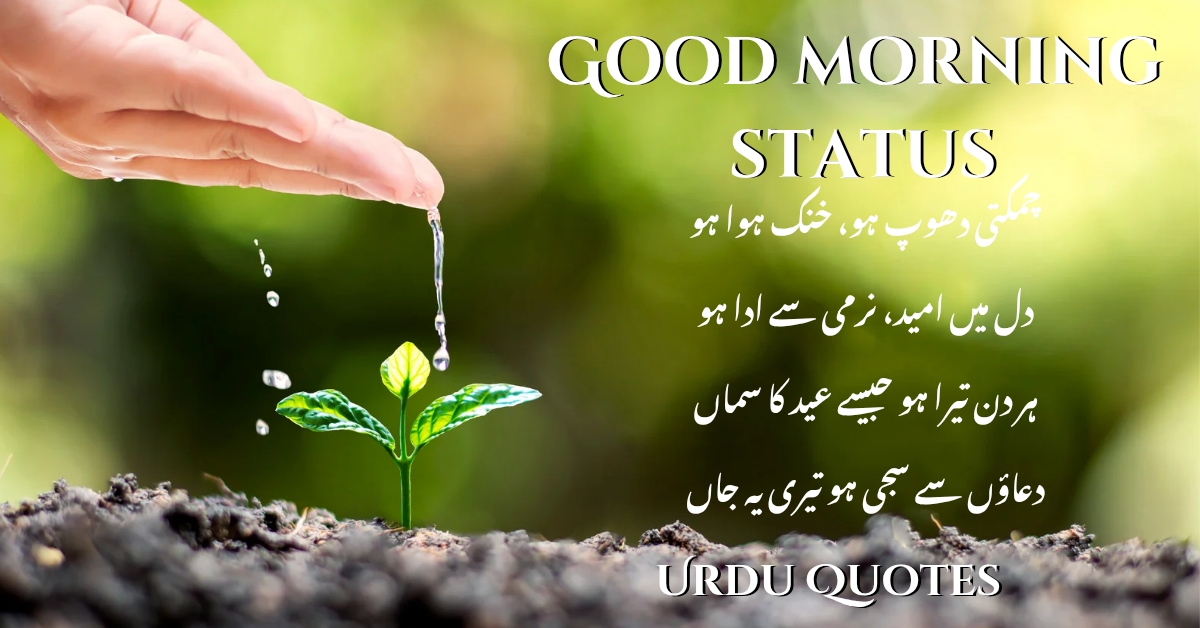 Good morning status | Urdu Quotes